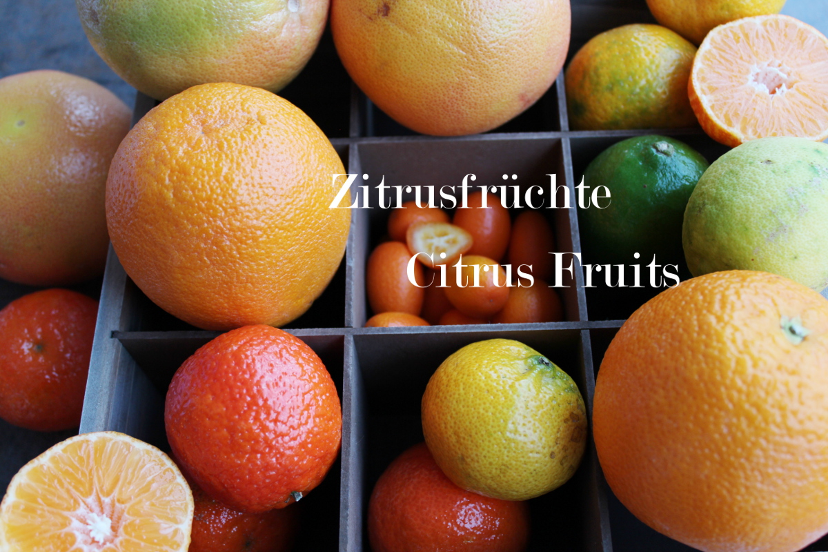 Zitrusfrüchte, fruchtige Vitaminspender