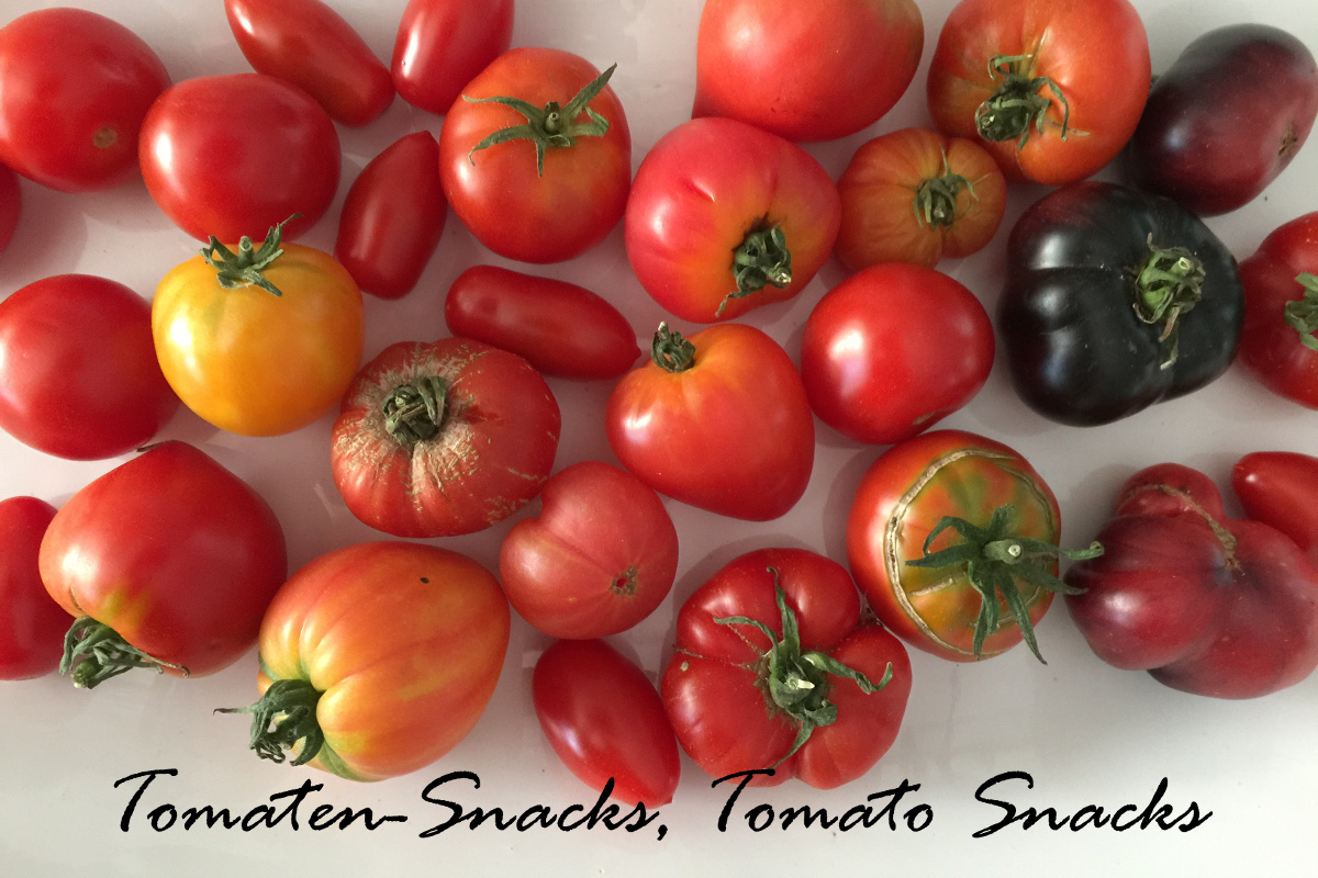 Tomaten-Snack, simpel, einfach & köstlich