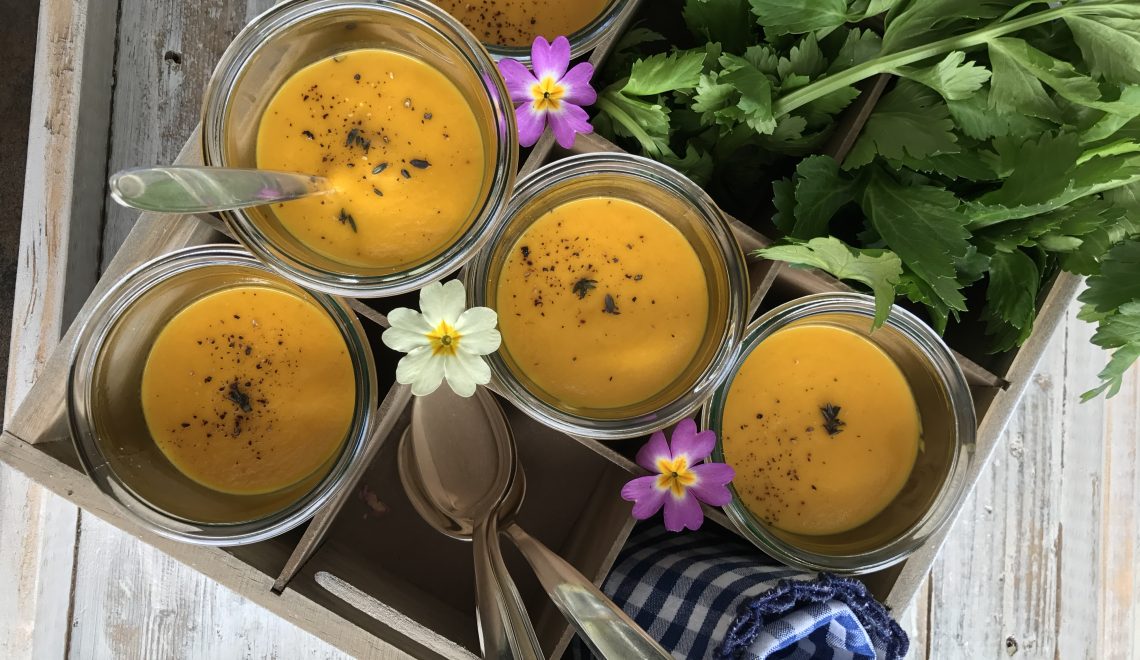 Tasty carrot soup – lunch time in the garden
